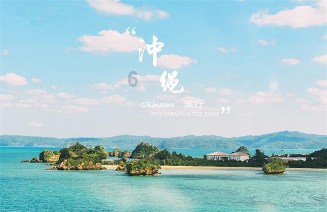 蛇蛇足球赛