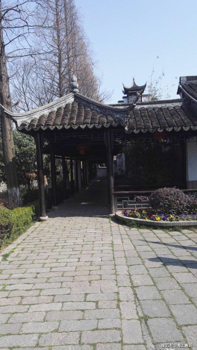 救援可爱小松鼠